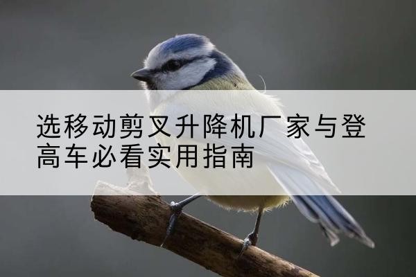 新荣电动升降机厂家-选移动剪叉升降机厂家与登高车必看实用指南