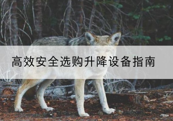 新荣升降货梯厂家推荐-*安全选购升降设备指南