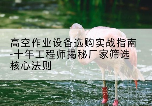 新荣剪叉式升降机厂家-高空作业设备选购实战指南-十年工程师揭秘厂家筛选核心法则